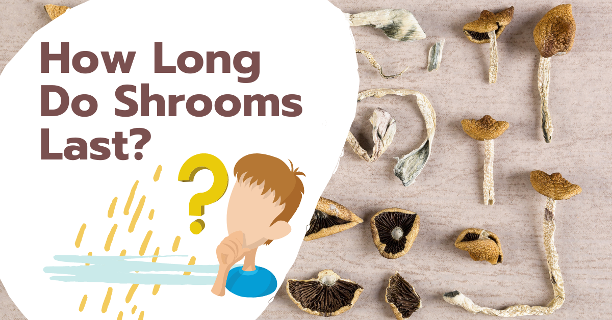 How Long Do Mushrooms Last?