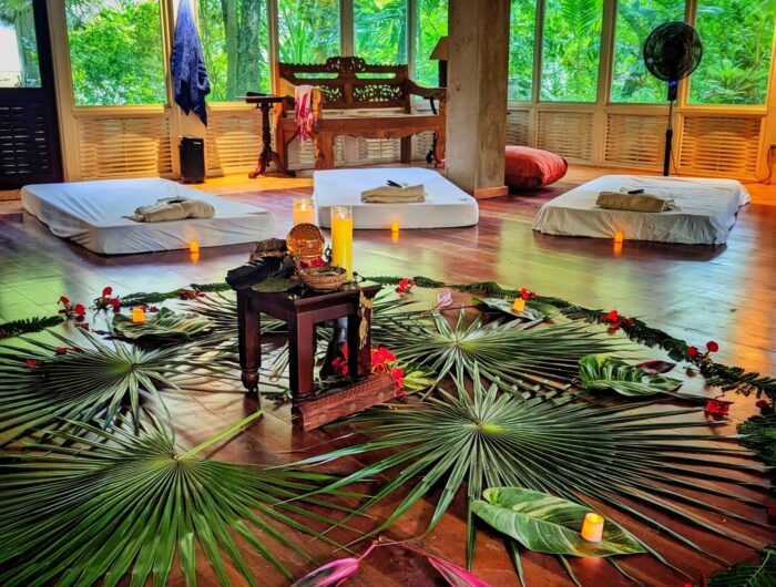 Calm setting for psychedelic experience candles and plants