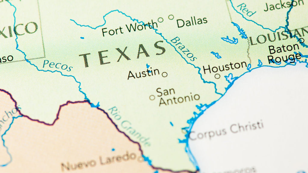 Psychedelic Mushrooms in Texas: Laws and Availability